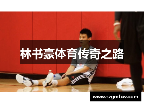 林书豪体育传奇之路